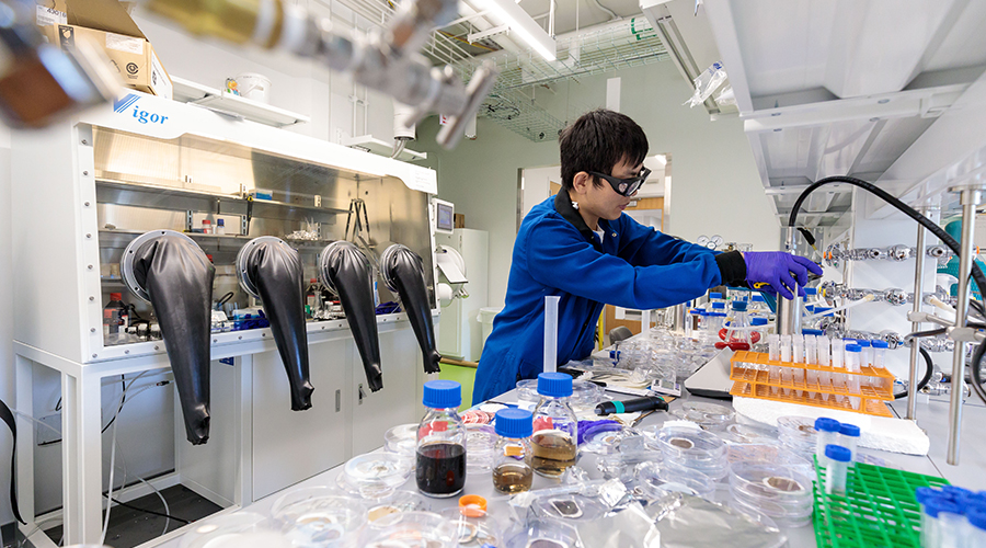 Reseracher in Chong Liu lab