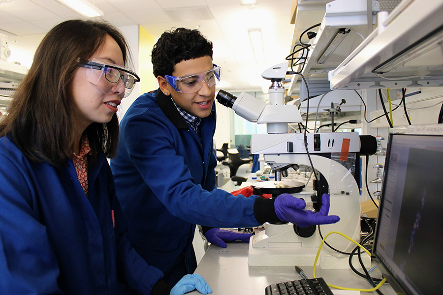 Nolan Murphy-Genao inspecting microscopy images