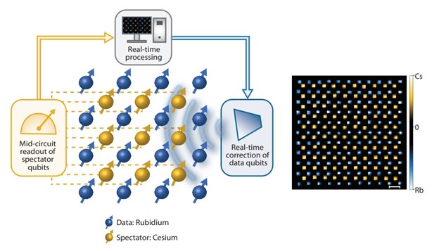 Diagram of spectator and data qubits