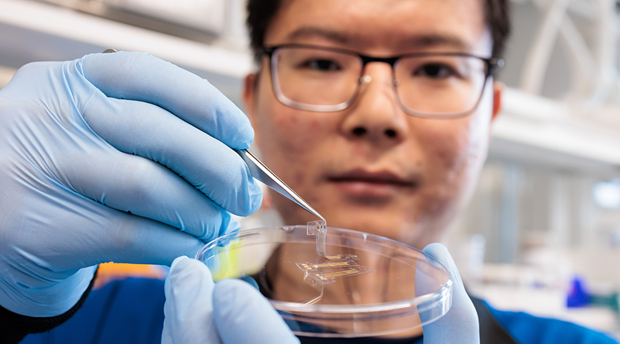 Close up of student holding pliable biosensor with tweezers