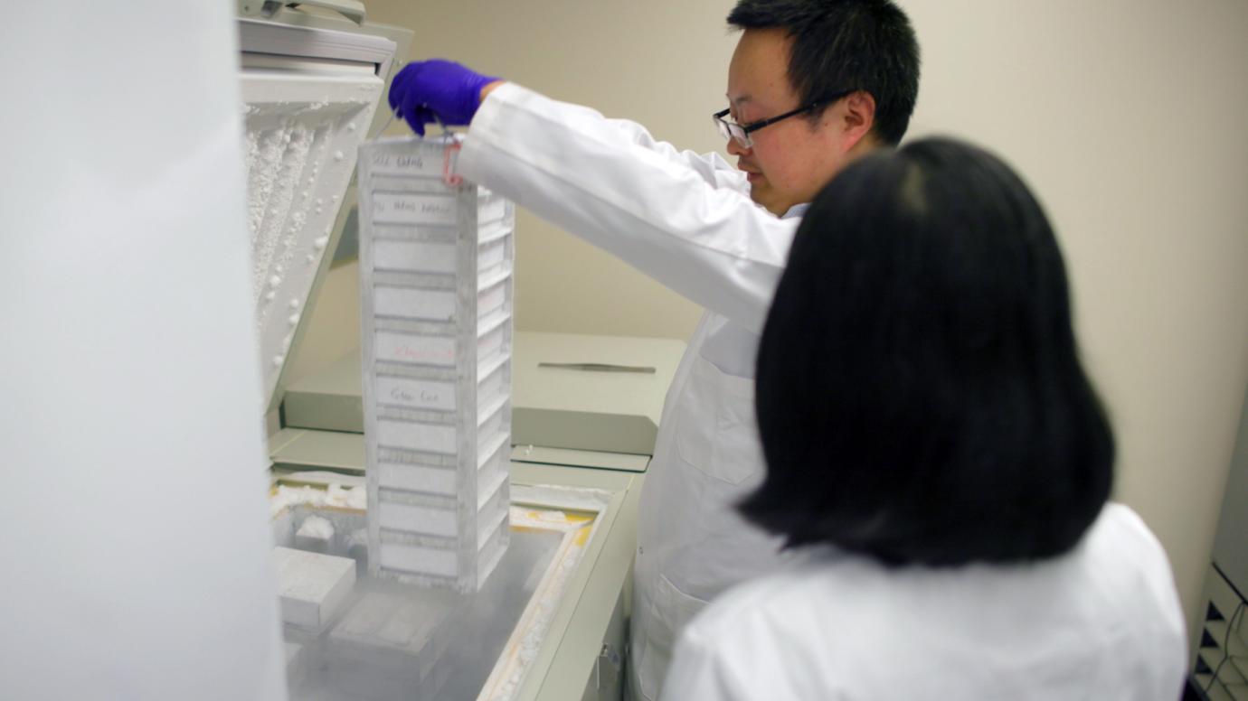 Postdoctoral researcher Zhang Kui retrieves samples from the freezer in the Chen lab.