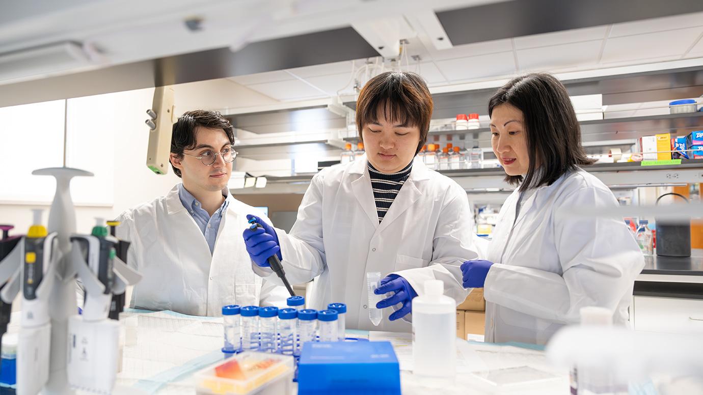 Postdoctoral researcher Shuya Mei (center) pipettes while Asst. Prof. Joyce Chen (at right) and masters student Alex Taslakjian look on.