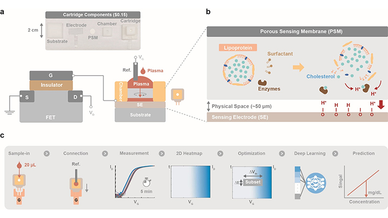 Figure 1 from ACS Nano