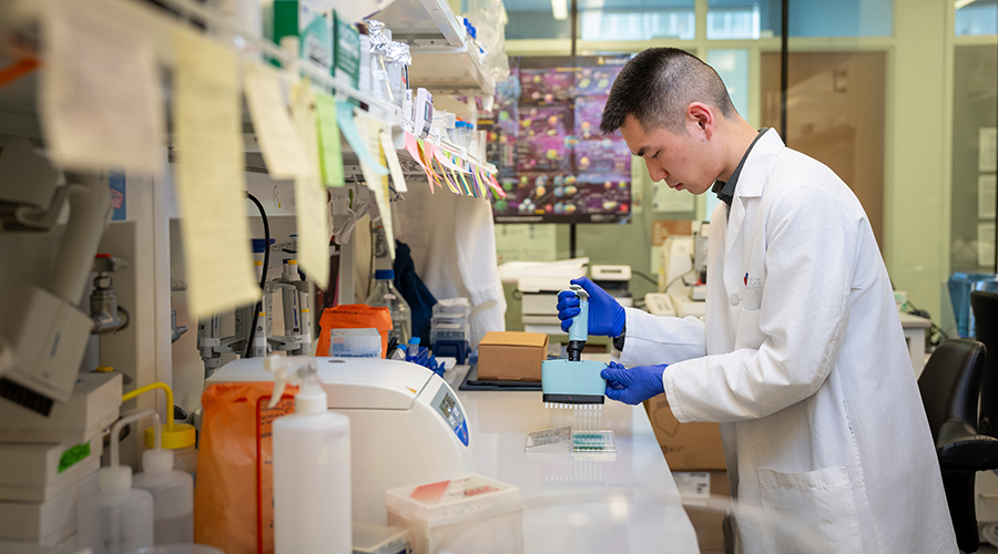 PhD Profile - Ivan Vuong