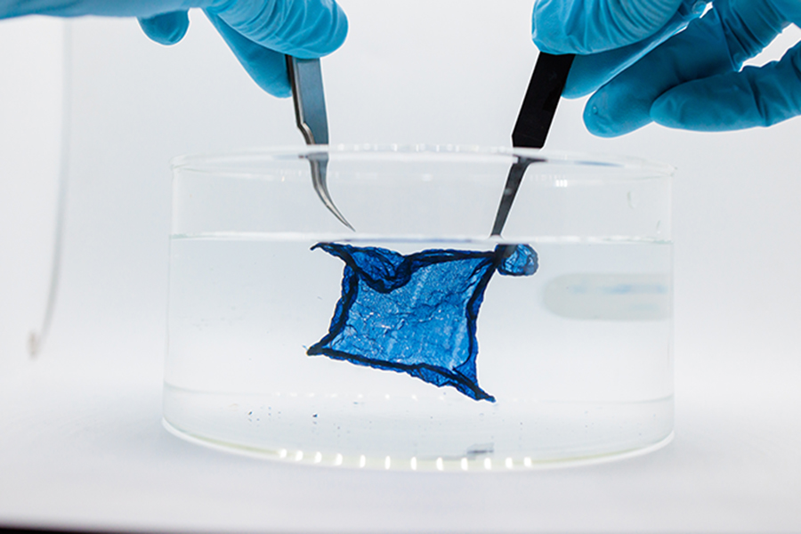 Hydrogel Semiconductor in water