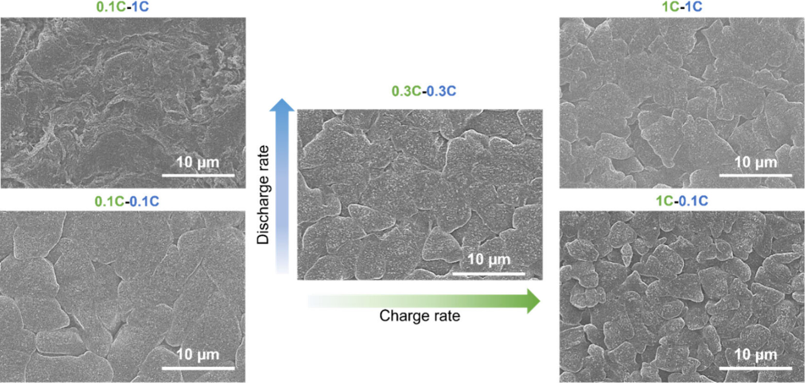 Scanning electron microscope top view images of lithium anodes under different charge/discharge rates.