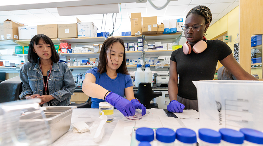 Three researchers working on samples in Chevrier Lab