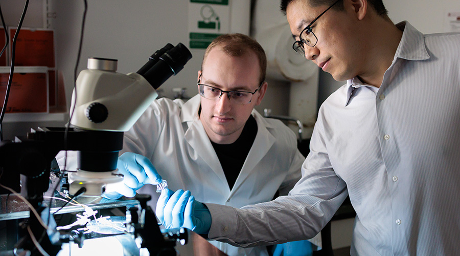 Researchers examine a new skin-like computing patch