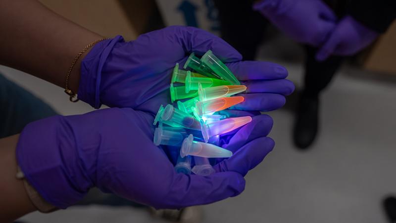 Handful of colored vials