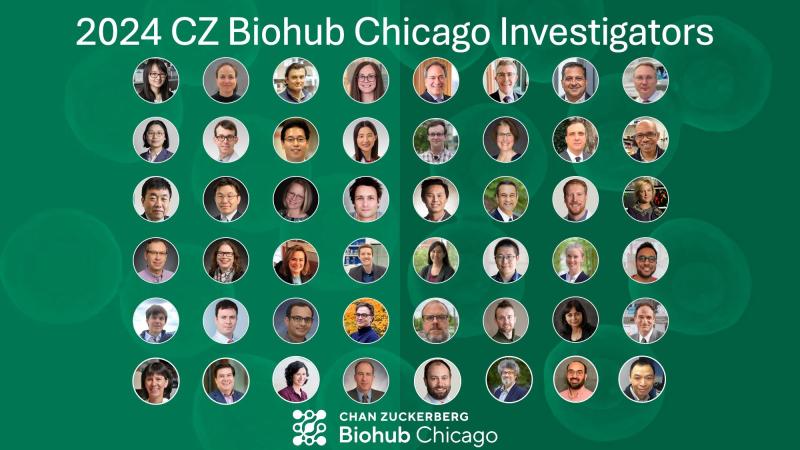 2024 Chan Zuckerberg Biohub Chicago Investigator Award recipients