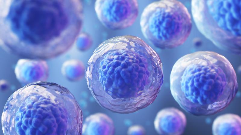 Graphic of T Cells