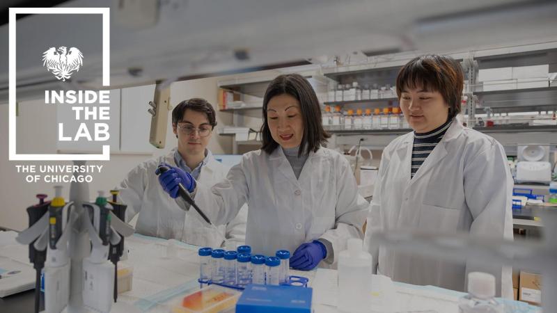UChicago Pritzker School of Molecular Engineering Assistant Professor Joyce Chen in her lab