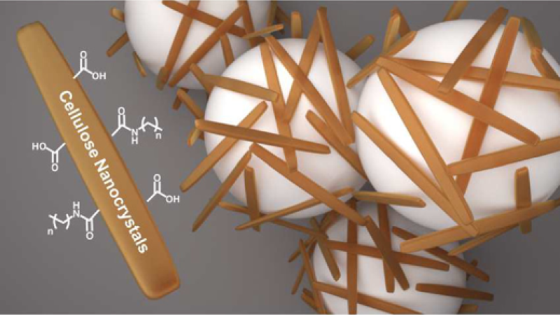 Illustration of cellulose nanocrystal-based materials showing rod-like nanocrystals surrounding spherical structures, alongside chemical structures and the label “Cellulose Nanocrystals.”