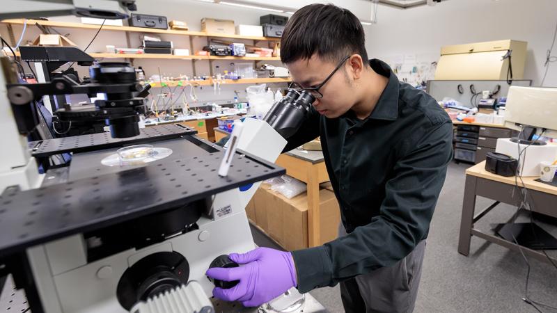 Pengju Li at a microscope