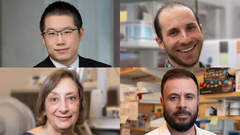 Block of four headshots of research scientists