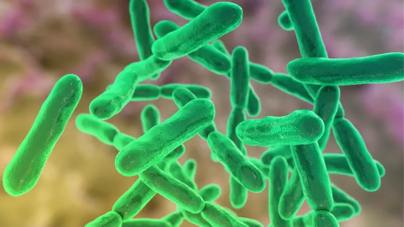 Illustration of bacteria strains