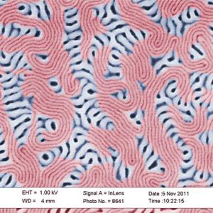 Scanning electron microscopy (SEM) image of nanoscale surface structures created through nanolithography. The image shows irregular striped nanofeatures dispersed across a textured background with maze-like contour patterns, illustrating nanoscale pattern formation and material structuring. Black-and-white banded regions contrast against the pink-toned substrate, highlighting variations in nanoscale morphology. Scale bar indicates 200 nm.