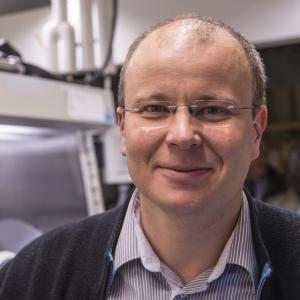 Dmitri V. Talapin