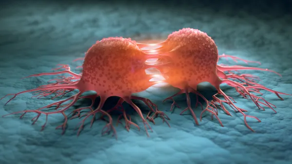 Rendering of two cells splitting