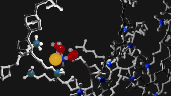 Model of polymer