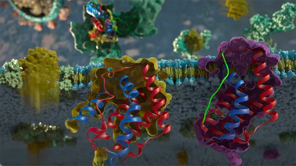 Rendering of curly proteins attached to each other
