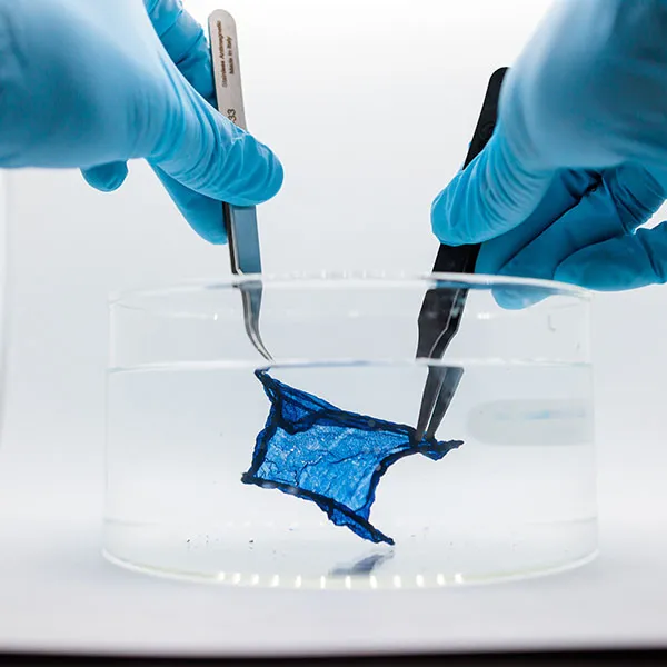 Hydrogel Semiconductor