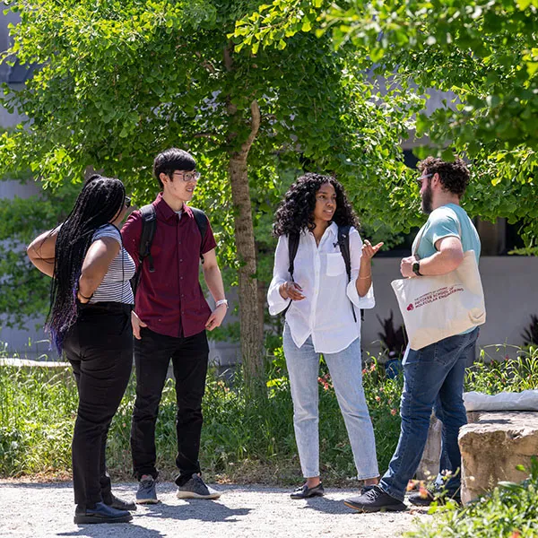 Four students chatting in a green space