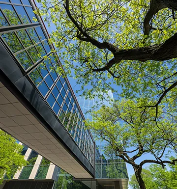 Campus with trees