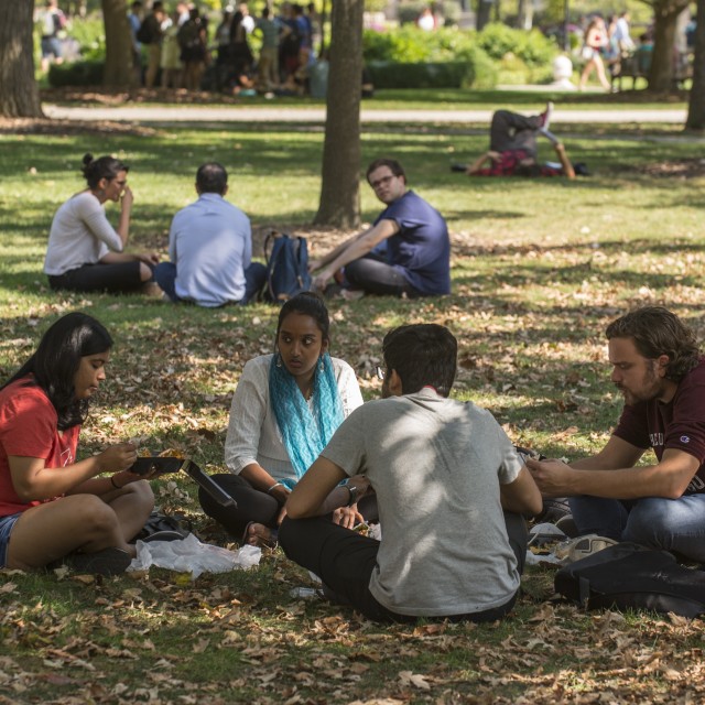 Undergraduates on the quad