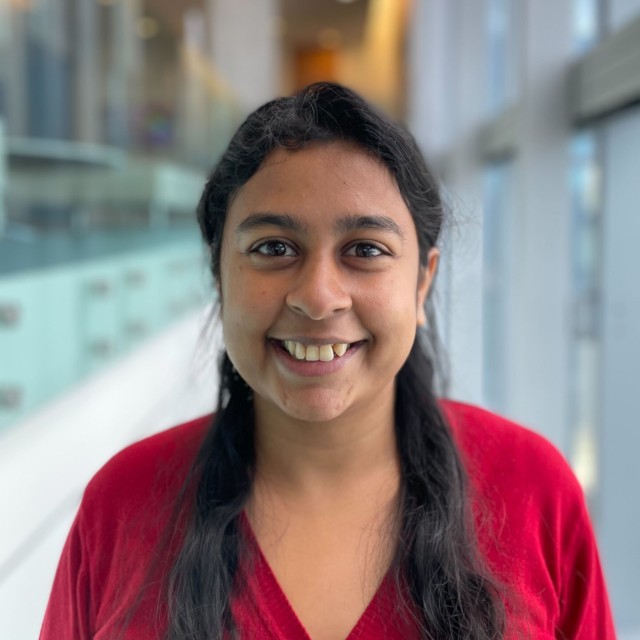 Picture of Sanskriti