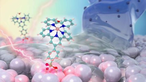 Pollutant degradation illustration
