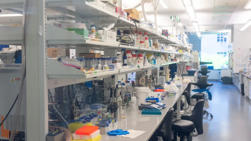 Lab bench