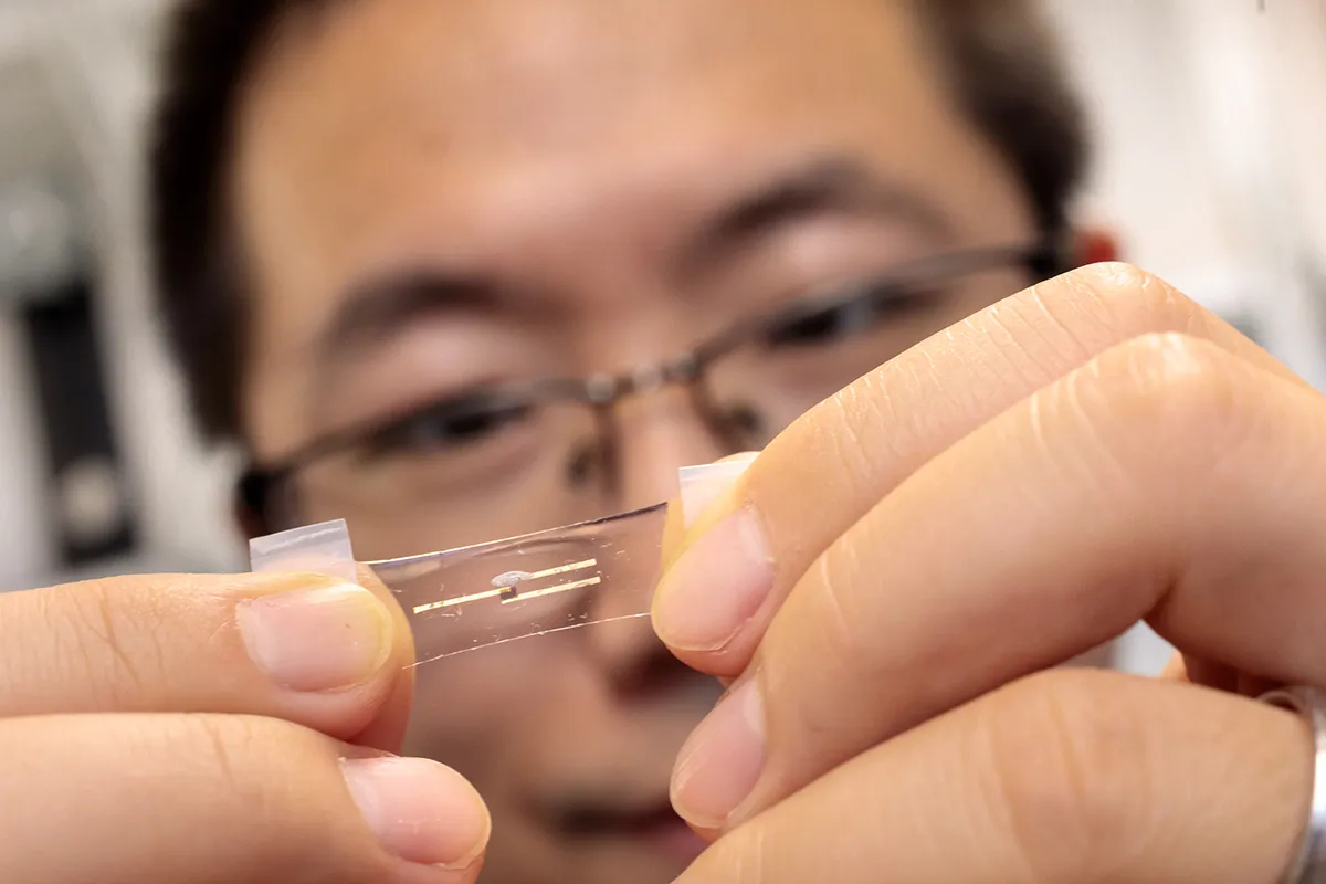 Sihong Wang holding stretchy chip