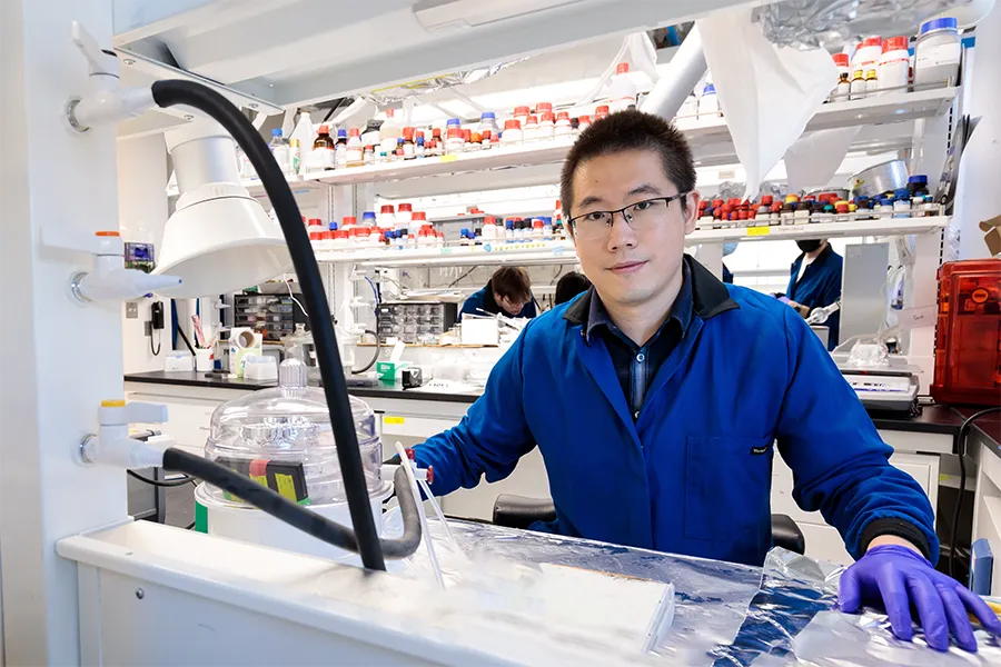 Sihong Wang leans over a table in his lab