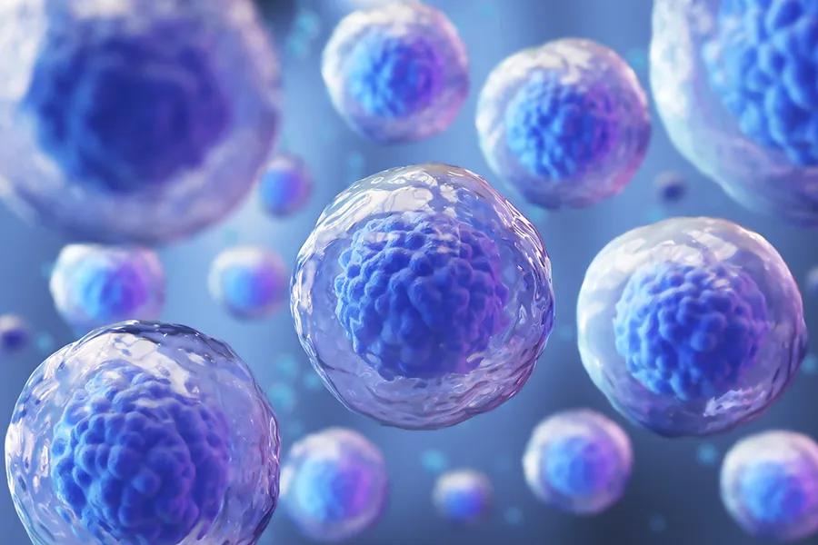 Graphic of T Cells