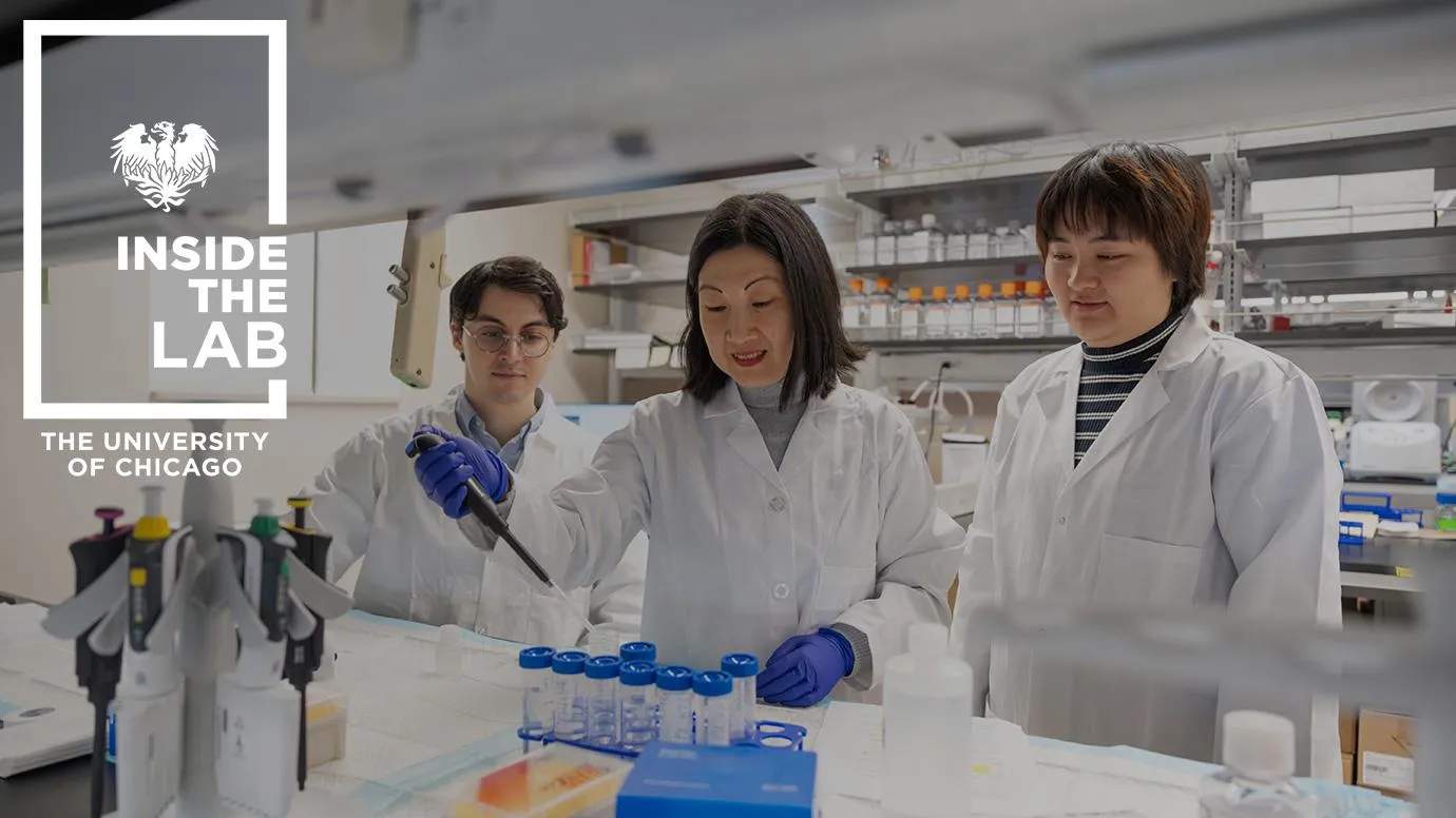 UChicago Pritzker School of Molecular Engineering Assistant Professor Joyce Chen in her lab