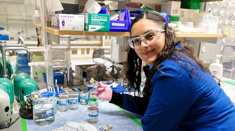PhD Profile - Andrea Diaz