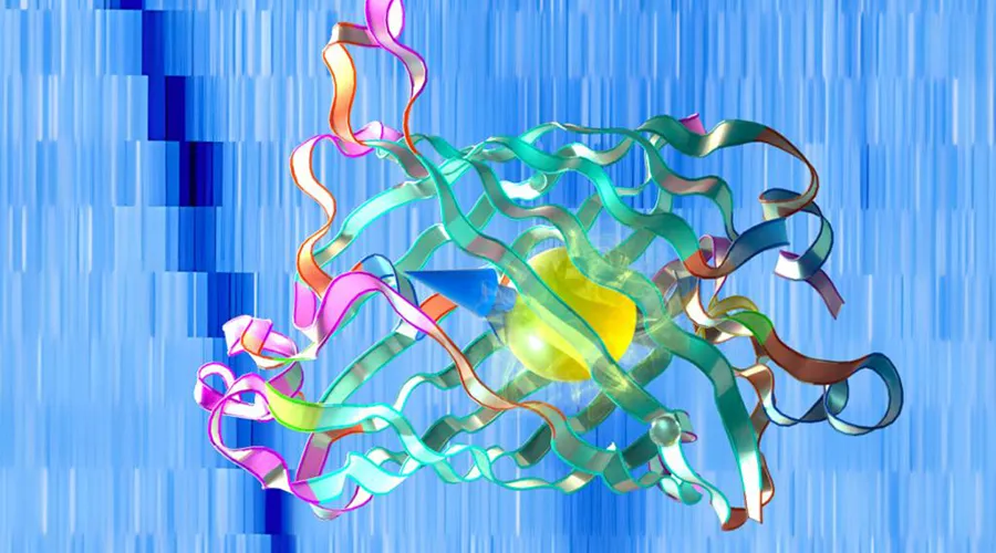 qubit flip