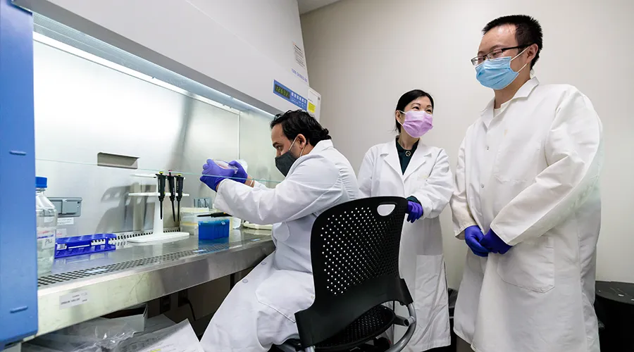 Joyce Chen lab