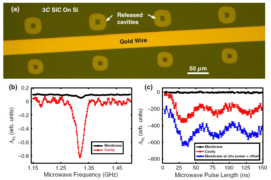Optical image and spin measurements of released photonic cavities fabricated in 3C silicon carbide on silicon. Microwave spectroscopy and Rabi oscillation data demonstrate enhanced spin readout and coherent control of silicon carbide defect spins within photonic cavity structures.