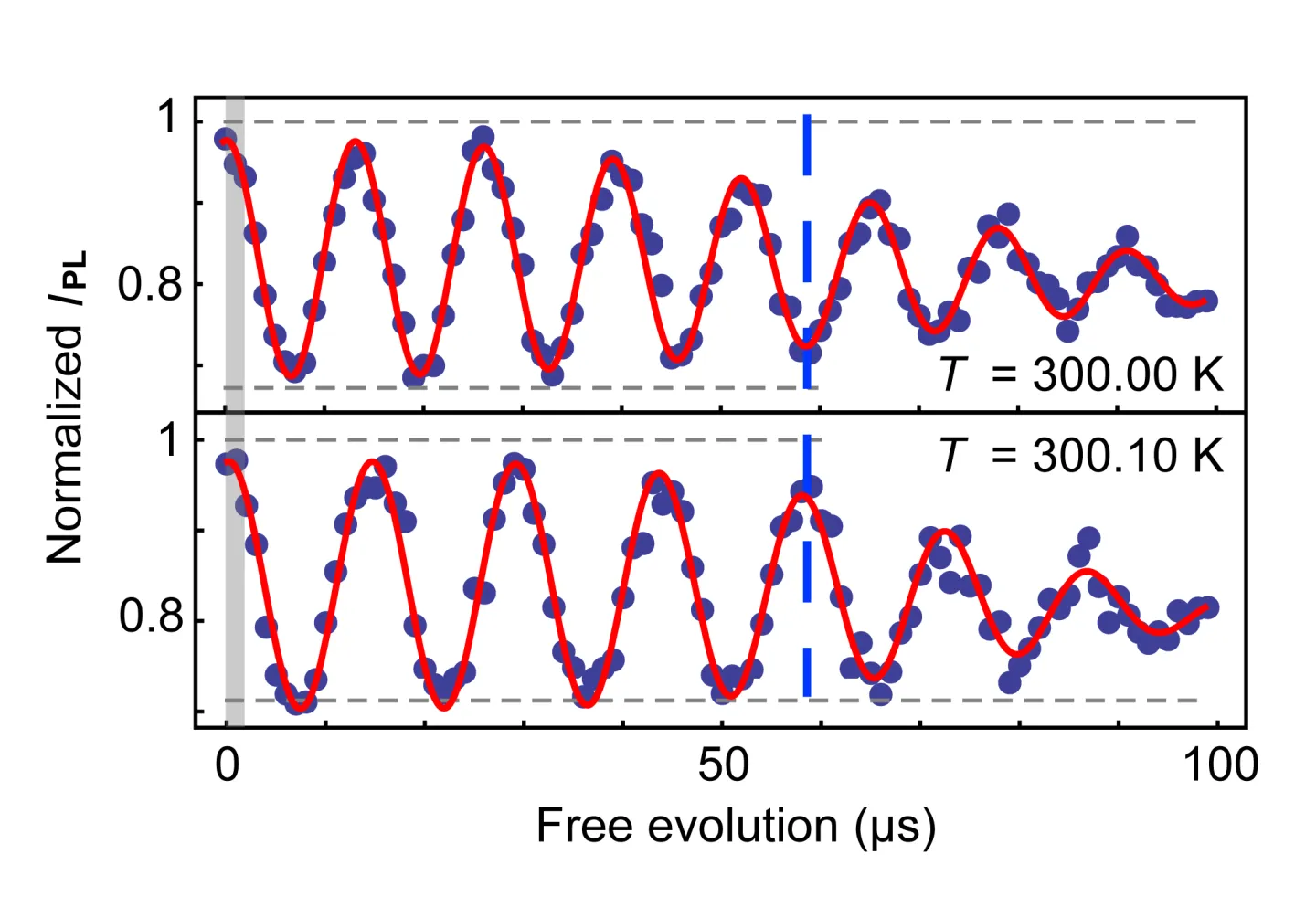 Comparison of NV center coherence measurements at 300.00 K and 300.10 K. Oscillating photoluminescence signals show temperature-dependent changes in spin coherence during free evolution, with red curves fitted to experimental data.
