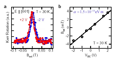 Kerr rotation measurements of electrically induced spin polarization in a two-dimensional electron gas. Magnetic-field scans and voltage-dependent internal magnetic fields demonstrate spin–orbit coupling and current-driven spin coherence in semiconductor heterostructures.