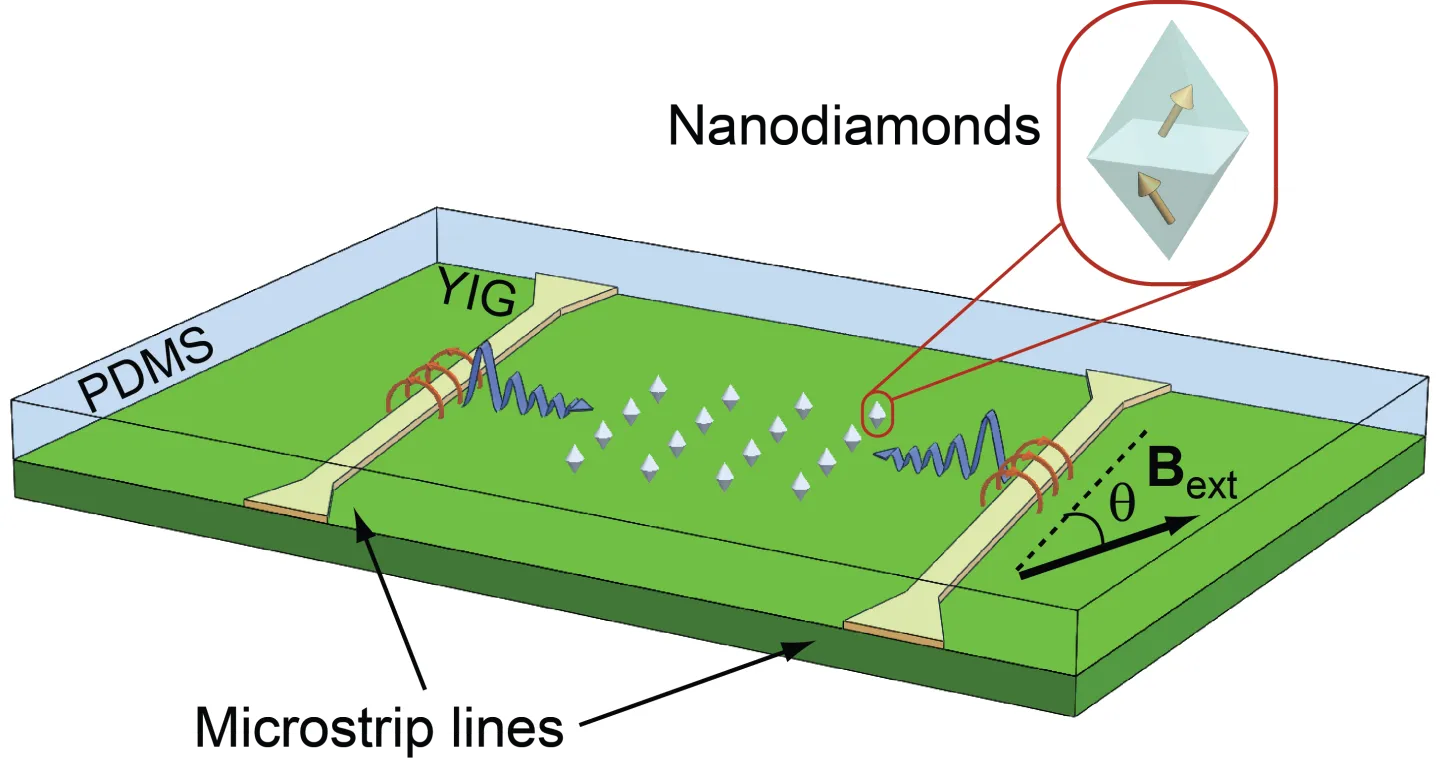 Illustrated schematic of a hybrid quantum device used for spin-wave-mediated quantum control. A yttrium iron garnet (YIG) film sits on a PDMS substrate with patterned microstrip lines on either side. Microwave currents injected into the microstrips generate propagating spin waves within the YIG layer. Nanodiamonds containing NV centers are positioned above the film and interact with the spin waves for coherent spin control. An external magnetic field is applied at an angle relative to the device. 