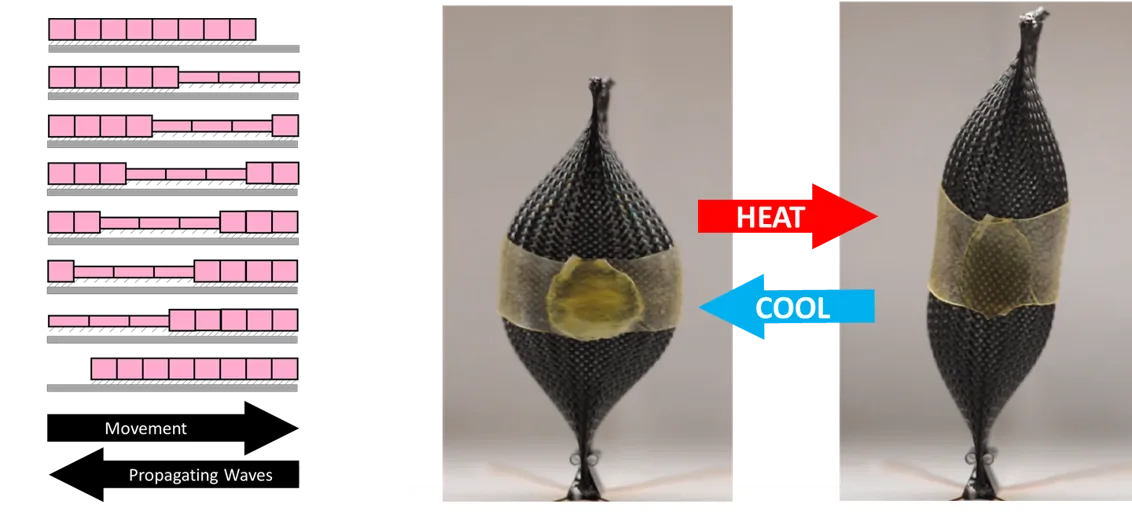 Movement versus propogating waves and heat elongating an object