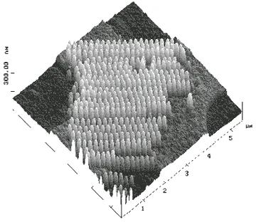 Atomic force microscopy (AFM) image of nanometer-scale magnetic structures arranged in a dense patterned array. The three-dimensional surface map highlights the topography and height variations of nanoscale magnetic elements fabricated on a substrate.