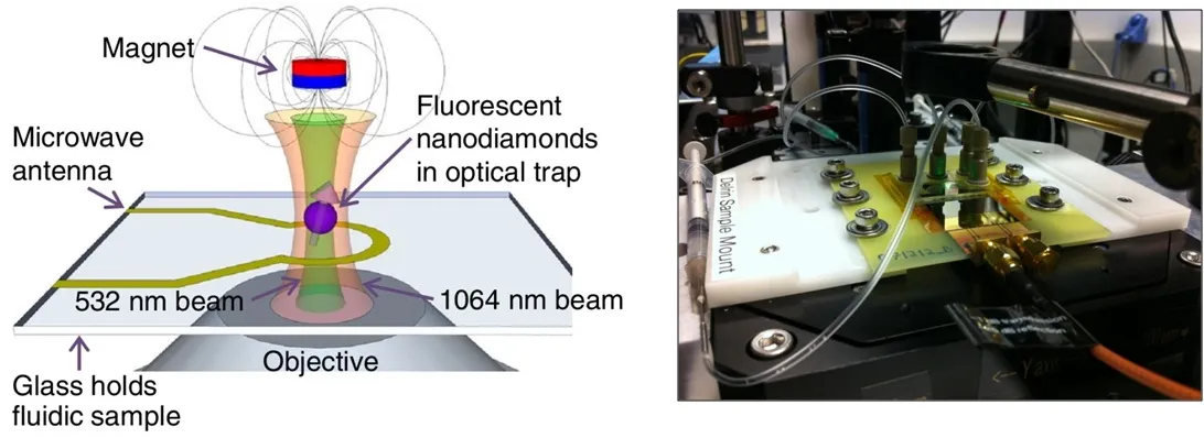 Experimental setup for magnetic sensing with optically trapped nanodiamonds. A schematic and photo show optical trapping, microwave excitation, and fluorescence detection of nanodiamonds suspended in fluid under an applied magnetic field.