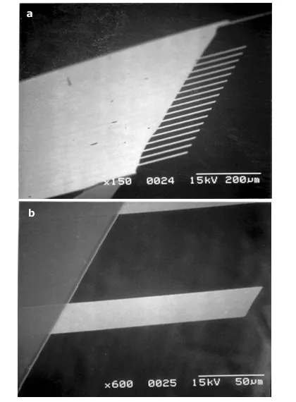 Scanning electron microscope images of fabricated microcantilever structures used in micromagnetics research. The images show tapered cantilever arrays and a single suspended cantilever beam with micrometer-scale dimensions.