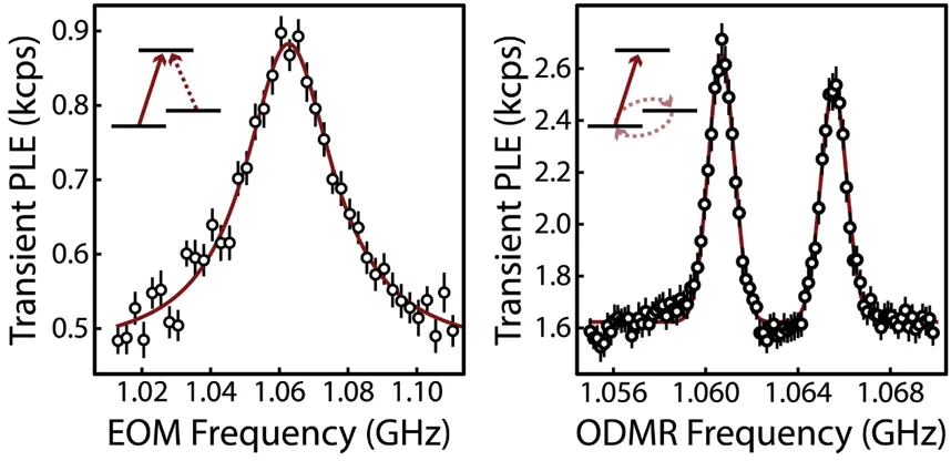 Transient photoluminescence excitation (PLE) and ODMR spectra of Cr4+ defects in commercial SiC. Left graph shows microwave-driven transient optical response near 1.06 GHz. Right graph displays spin-resonance peaks with fitted curves, demonstrating optical detection and coherent microwave control of Cr4+ spin states.