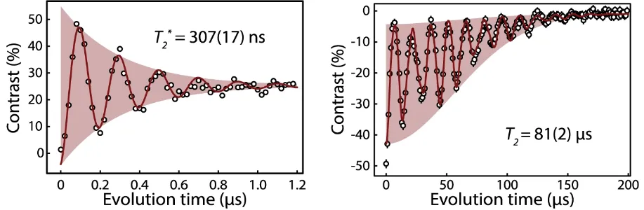 Coherence measurements of Cr4+ spin defects in commercial SiC. Left panel shows Ramsey oscillations with dephasing time T2* ≈ 307 ns. Right panel shows spin-echo coherence extending to T2 ≈ 81 µs, demonstrating coherent spin manipulation and long-lived quantum coherence in chromium defects.