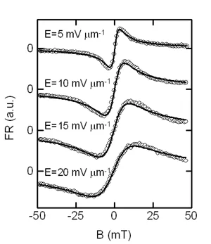 Faraday rotation measurements versus magnetic field for increasing electric fields from 5 to 20 mV/μm. Shifting and asymmetric spin signals demonstrate electrically generated spin polarization and current-induced spin coherence in semiconductor channels.